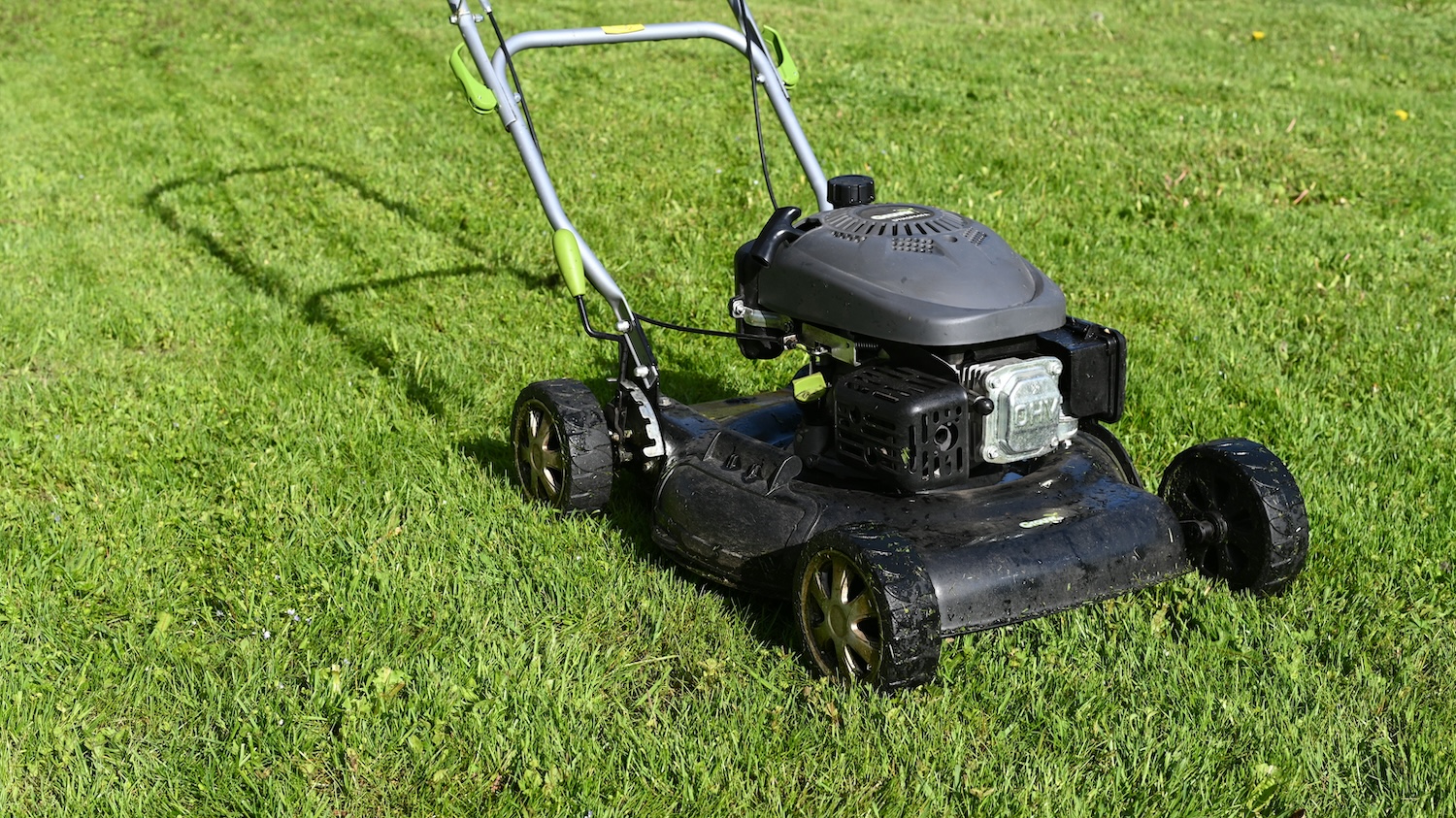 Pest & Disease Control